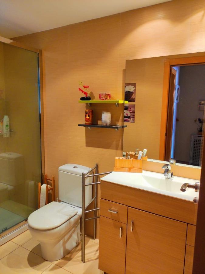 Acogedor Atico Duplex En Tremp